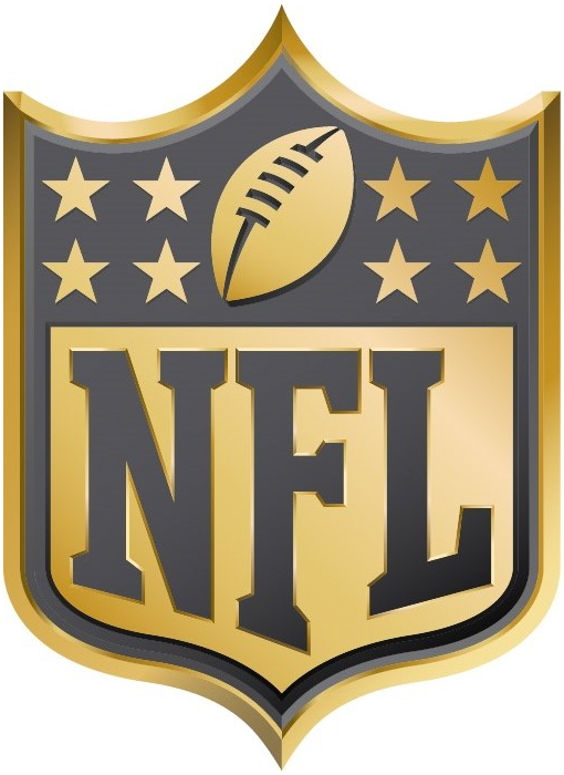 National Football League 2015 Anniversary Logo iron on transfers for clothing